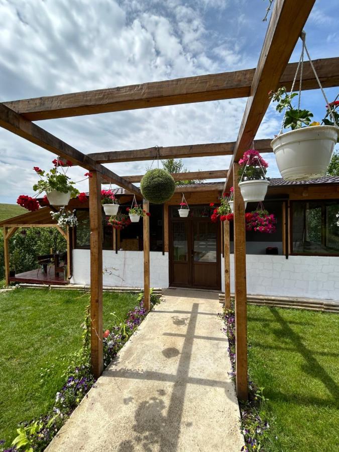 Casa Eden Fit Villa Faget  Luaran gambar